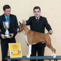 franky_12