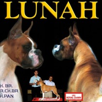 lunah_1
