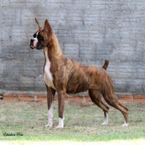 amy_1