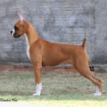fiona_1