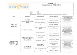 pedigree_suarez2